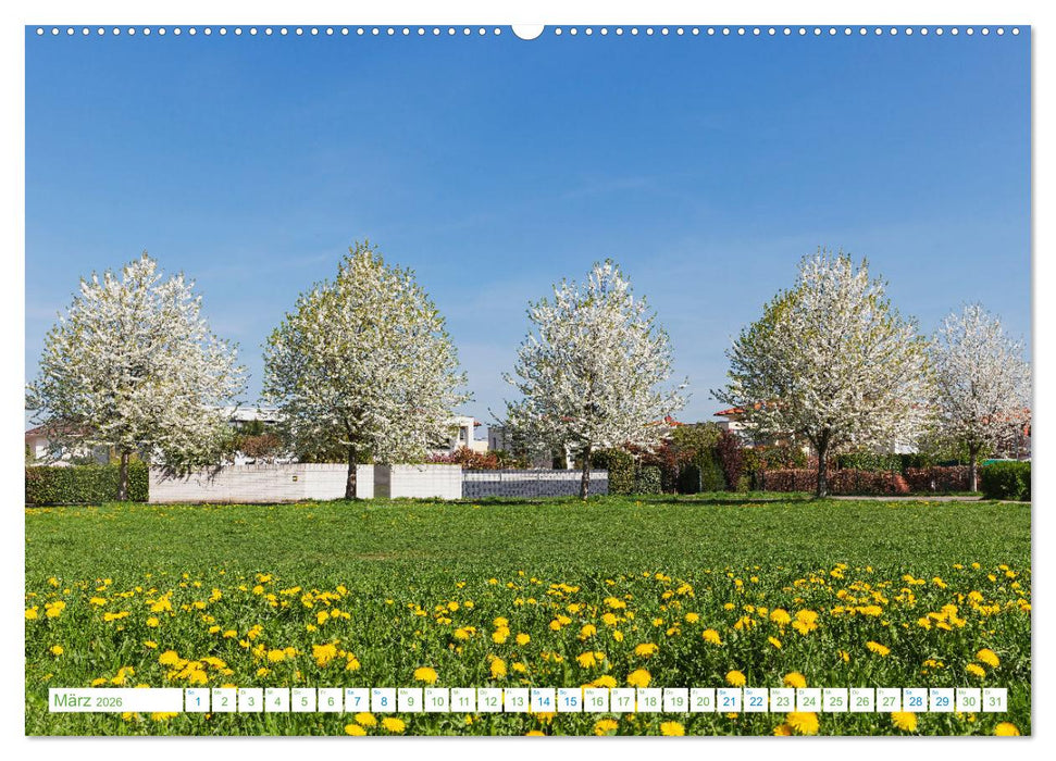 Köln Widdersdorf - Blütenträume und ländliche Idylle (CALVENDO Wandkalender 2026)
