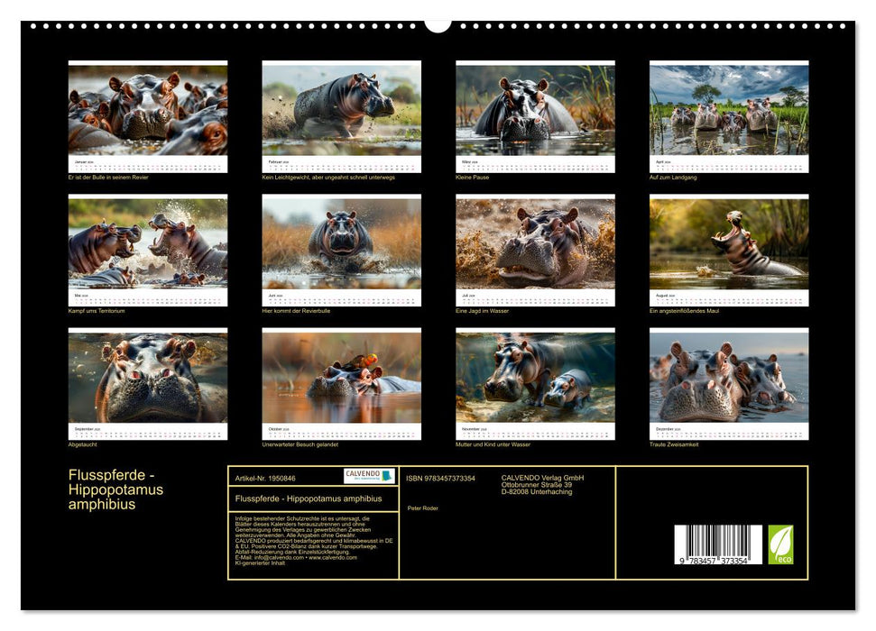 Flusspferde - Hippopotamus amphibius (CALVENDO Premium Wandkalender 2026)