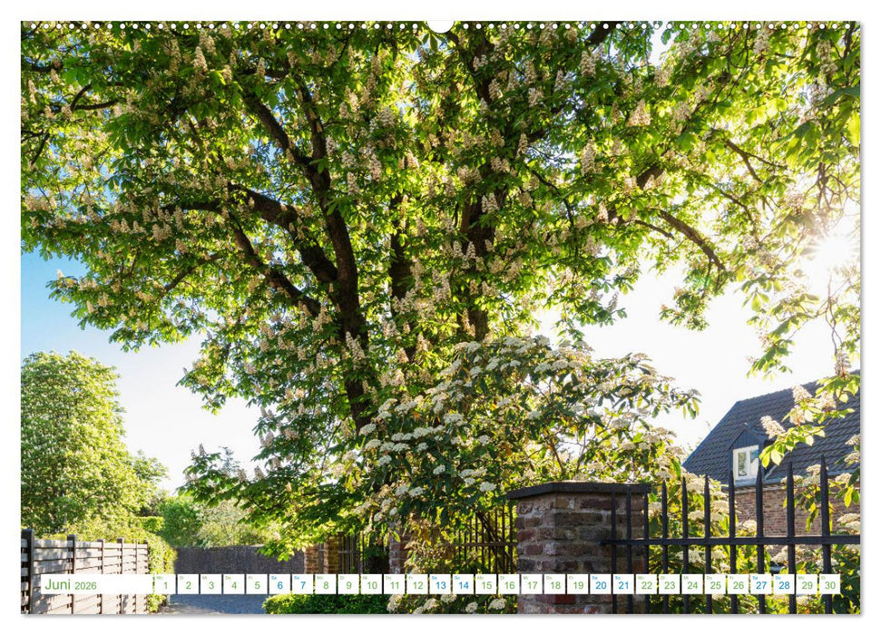 Köln Widdersdorf - Blütenträume und ländliche Idylle (CALVENDO Premium Wandkalender 2026)