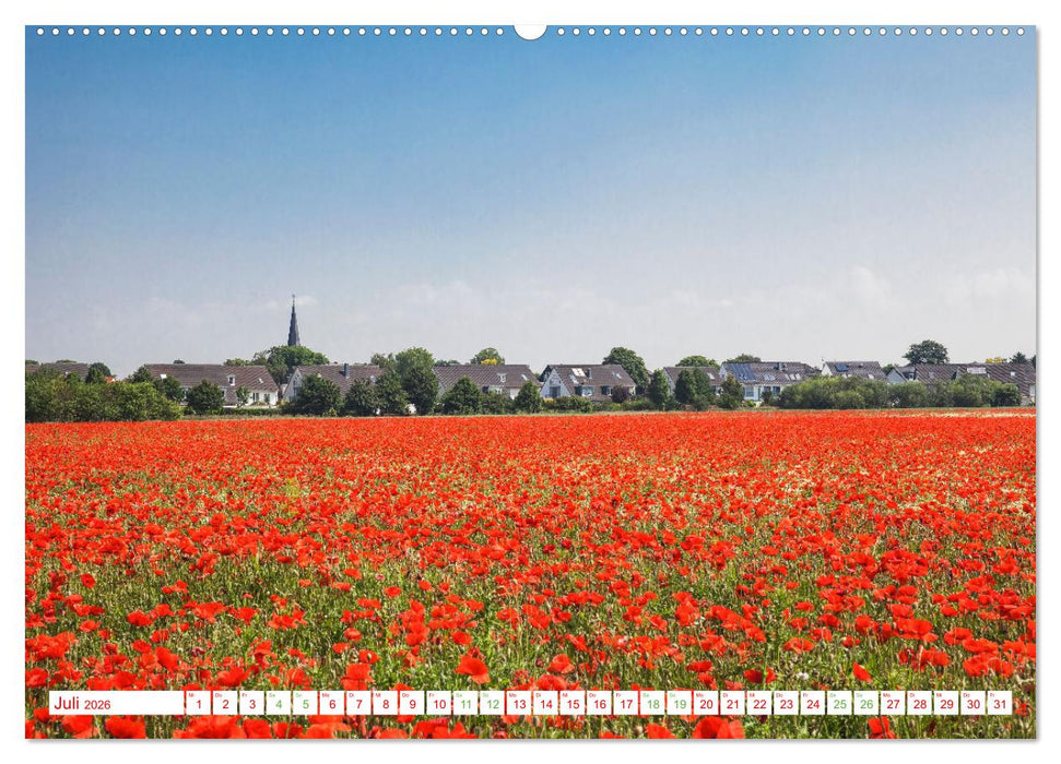 Köln Widdersdorf - Blütenträume und ländliche Idylle (CALVENDO Premium Wandkalender 2026)
