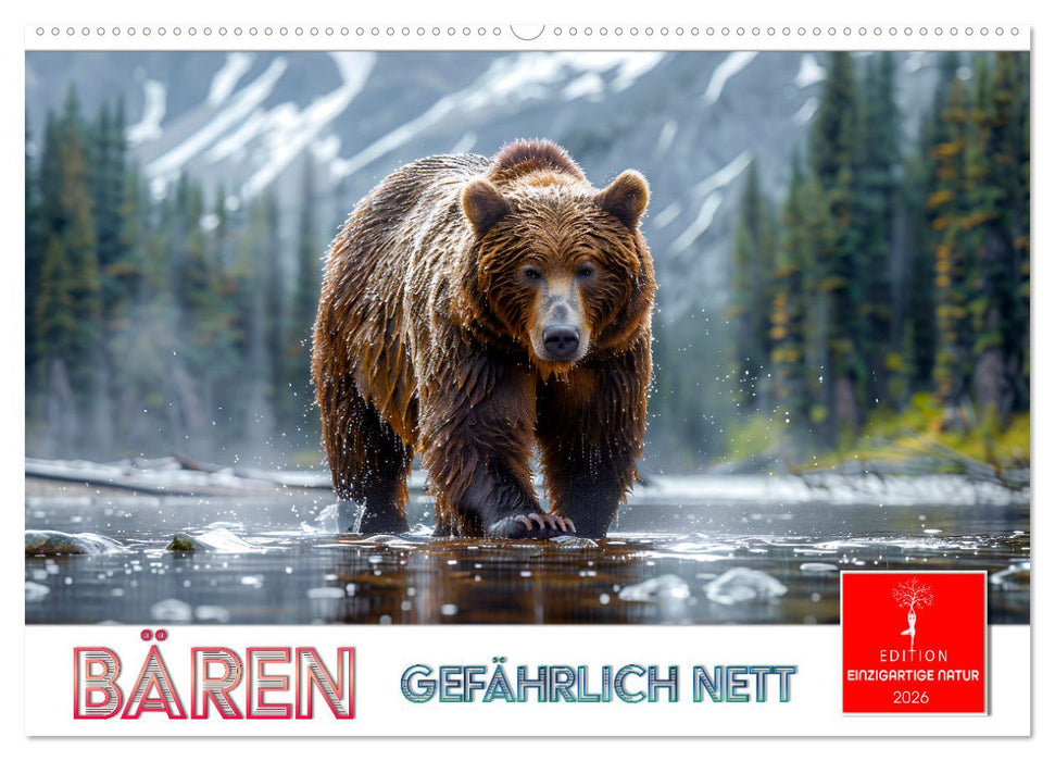 Bären - gefährlich nett (CALVENDO Wandkalender 2026)