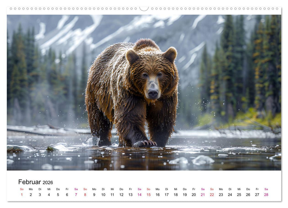 Bären - gefährlich nett (CALVENDO Premium Wandkalender 2026)