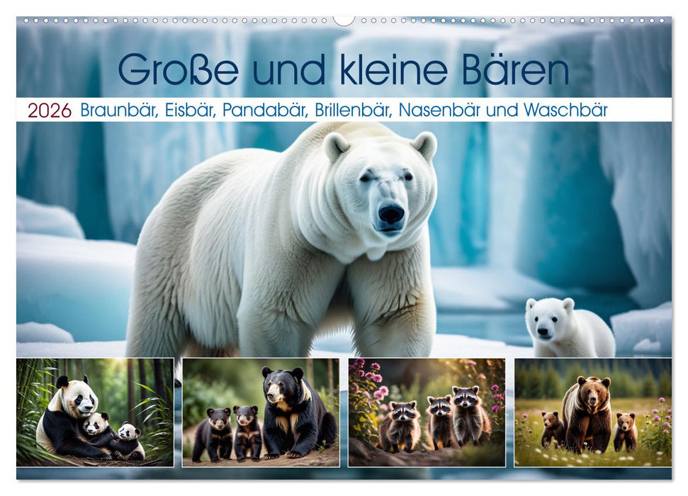 Große und kleine Bären (CALVENDO Wandkalender 2026)