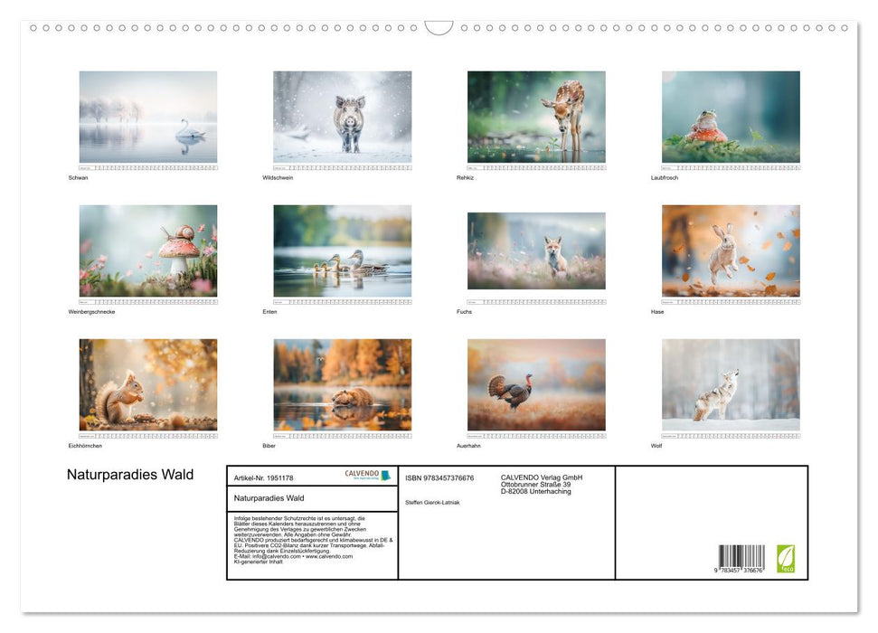 Naturparadies Wald (CALVENDO Wandkalender 2026)