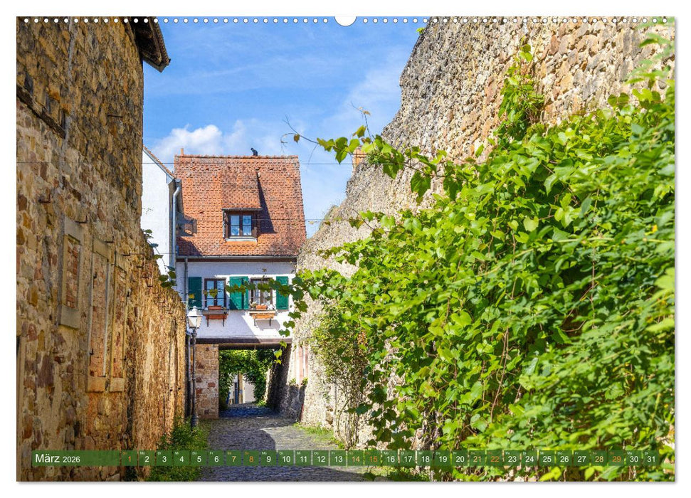 Ein Bummel durch die romantischen Gassen von Freinsheim in der Pfalz (CALVENDO Premium Wandkalender 2026)