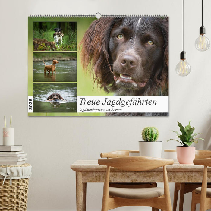 Treue Jagdgefährten - Jagdhunderassen im Portrait (CALVENDO Wandkalender 2026)