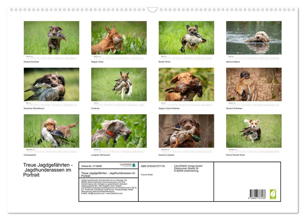 Treue Jagdgefährten - Jagdhunderassen im Portrait (CALVENDO Wandkalender 2026)