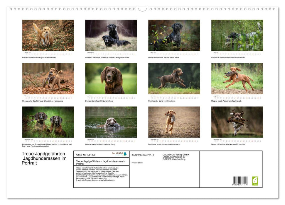 Treue Jagdgefährten - Jagdhunderassen im Portrait (CALVENDO Wandkalender 2026)