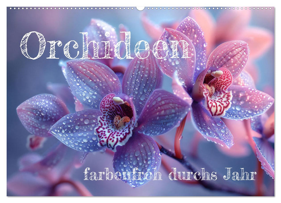 Orchideen - farbenfroh durchs Jahr (CALVENDO Wandkalender 2026)