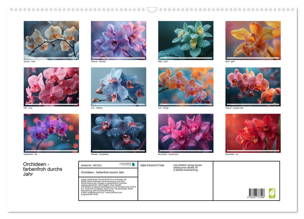 Orchideen - farbenfroh durchs Jahr (CALVENDO Wandkalender 2026)