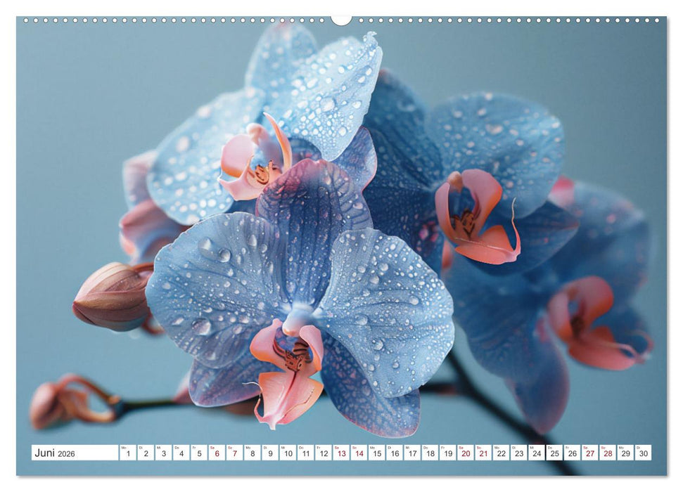 Orchideen - farbenfroh durchs Jahr (CALVENDO Wandkalender 2026)