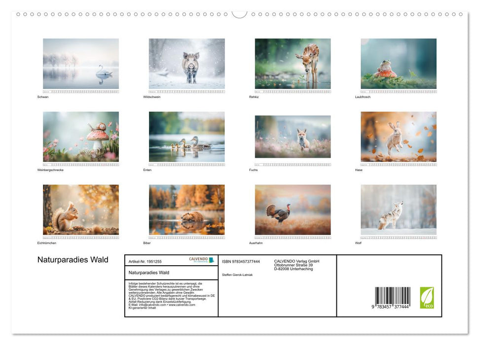 Naturparadies Wald (CALVENDO Premium Wandkalender 2026)