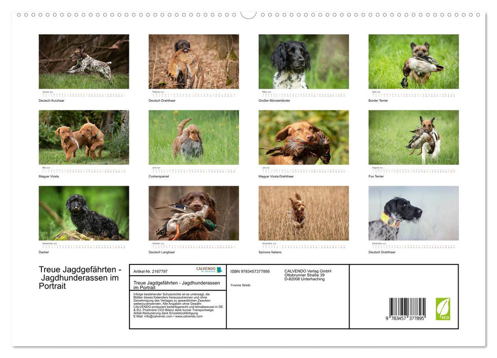 Treue Jagdgefährten - Jagdhunderassen im Portrait (CALVENDO Premium Wandkalender 2026)