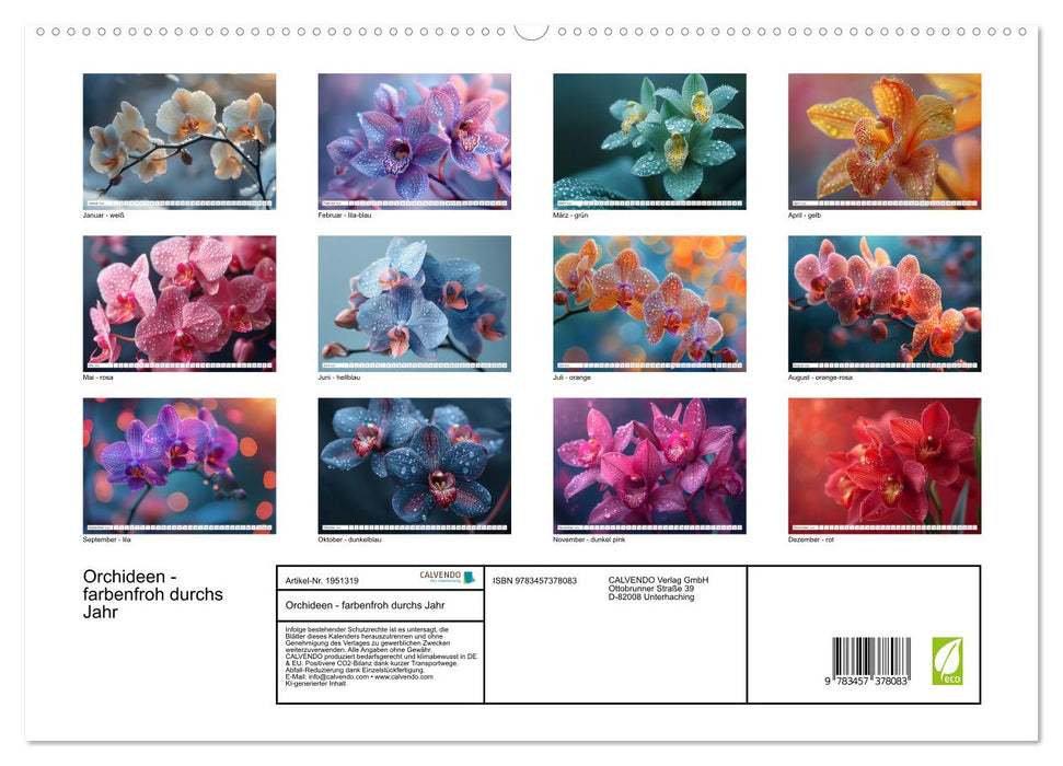 Orchideen - farbenfroh durchs Jahr (CALVENDO Premium Wandkalender 2026)