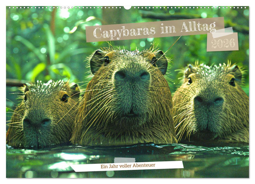 Capybaras im Alltag - Ein Jahr voller Abenteuer (CALVENDO Wandkalender 2026)