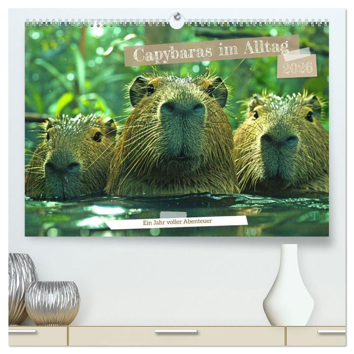 Capybaras im Alltag - Ein Jahr voller Abenteuer (CALVENDO Premium Wandkalender 2026)