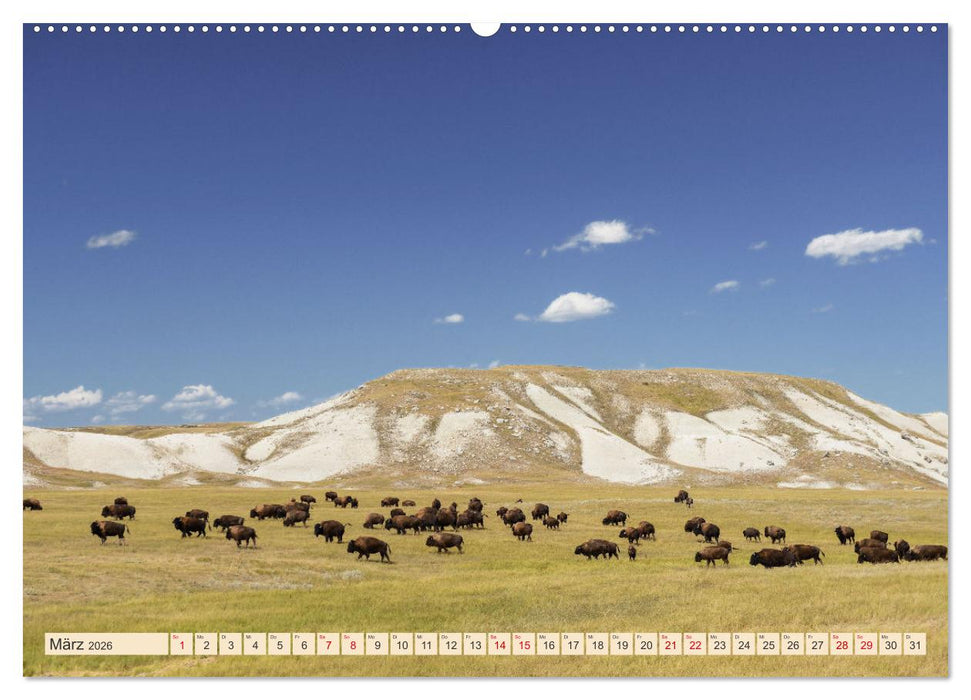 Sioux Im Lande von Sitting Bull (CALVENDO Premium Wandkalender 2026)