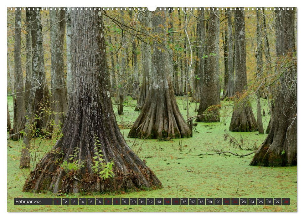 Natur Paradies Mississippi Delta (CALVENDO Wandkalender 2026)