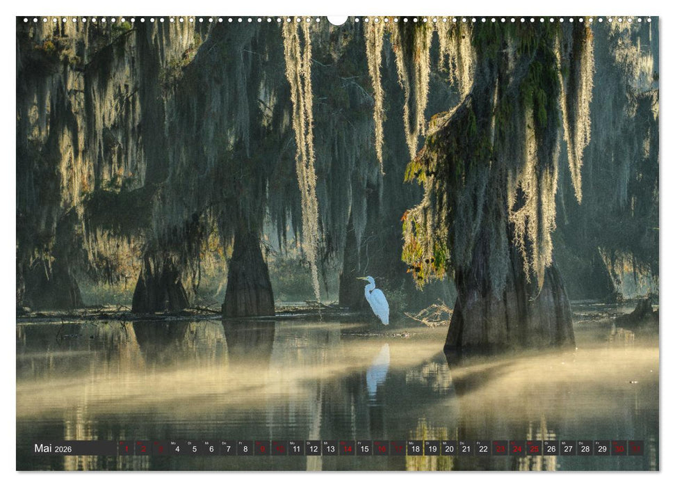 Natur Paradies Mississippi Delta (CALVENDO Wandkalender 2026)