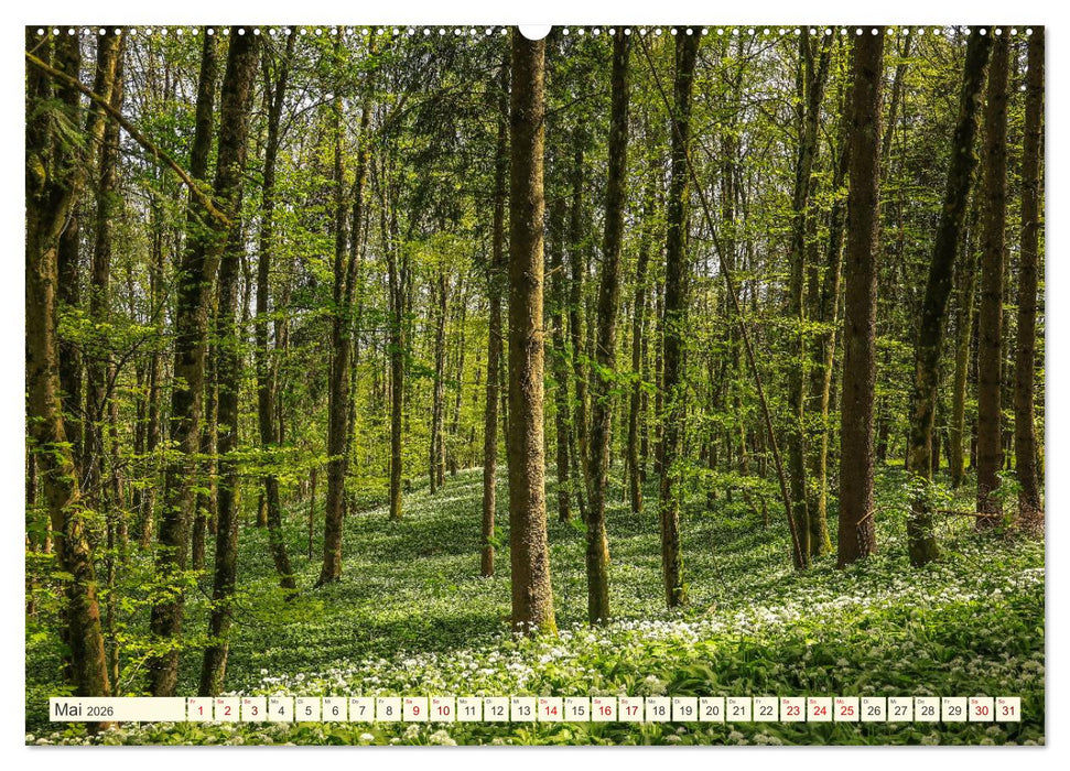 Hegau und Bodensee - Lieblingsorte entdecken (CALVENDO Wandkalender 2026)