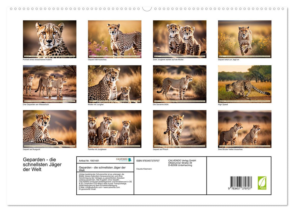 Geparden - die schnellsten Jäger der Welt (CALVENDO Premium Wandkalender 2026)