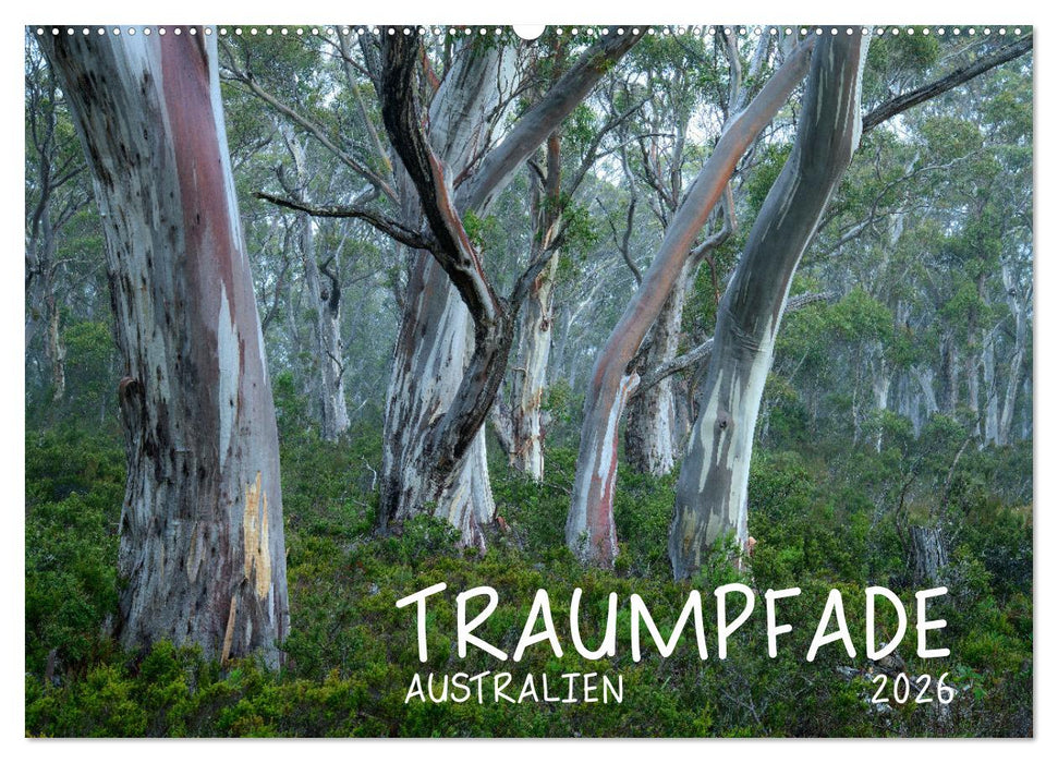 Traumpfade Australien (CALVENDO Wandkalender 2026)