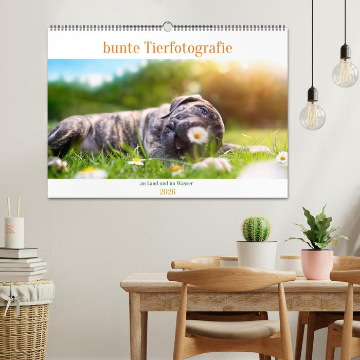bunte Tierfotografie an Land und im Wasser (CALVENDO Wandkalender 2026)