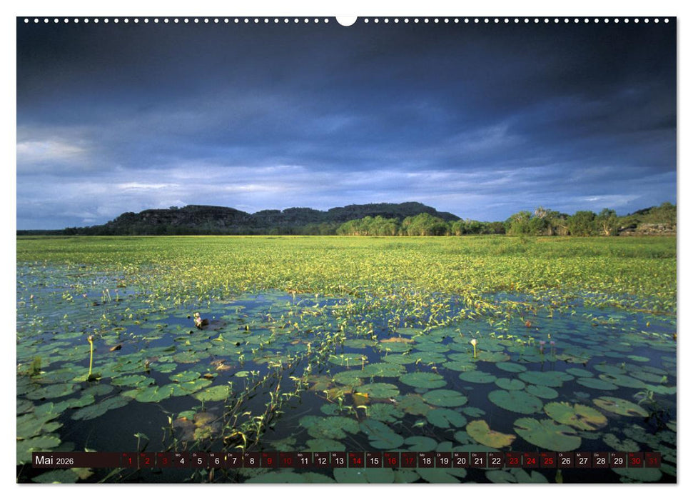 Traumpfade Australien (CALVENDO Premium Wandkalender 2026)