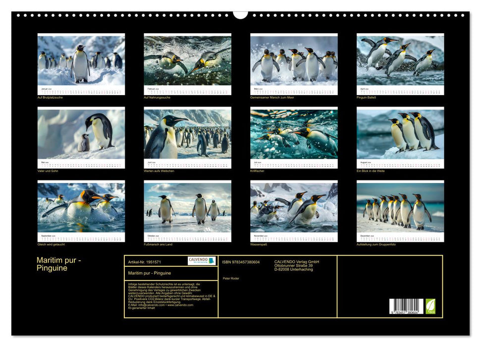 Maritim pur - Pinguine (CALVENDO Wandkalender 2026)