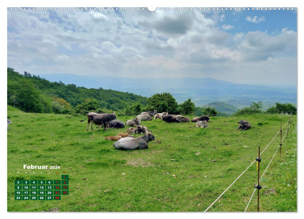 Herrliches Arno Tal - Wanderurlaub in der Toskana (CALVENDO Wandkalender 2026)