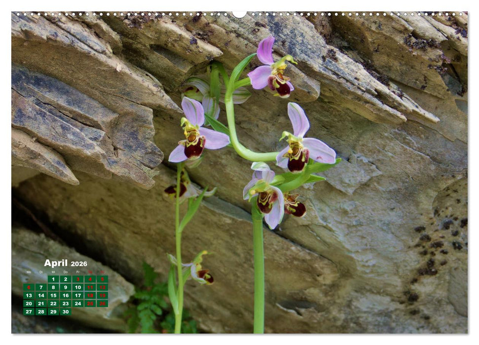 Herrliches Arno Tal - Wanderurlaub in der Toskana (CALVENDO Wandkalender 2026)