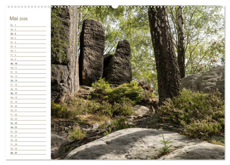Frienstein Perspektiven - Elbsandstein (CALVENDO Premium Wandkalender 2026)