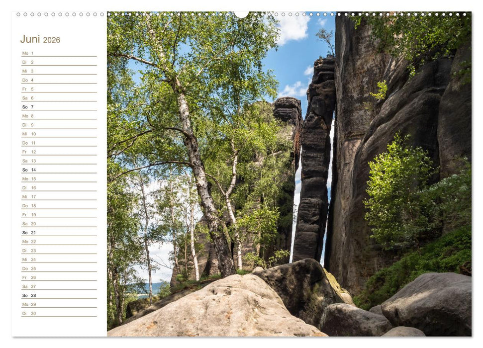 Frienstein Perspektiven - Elbsandstein (CALVENDO Premium Wandkalender 2026)