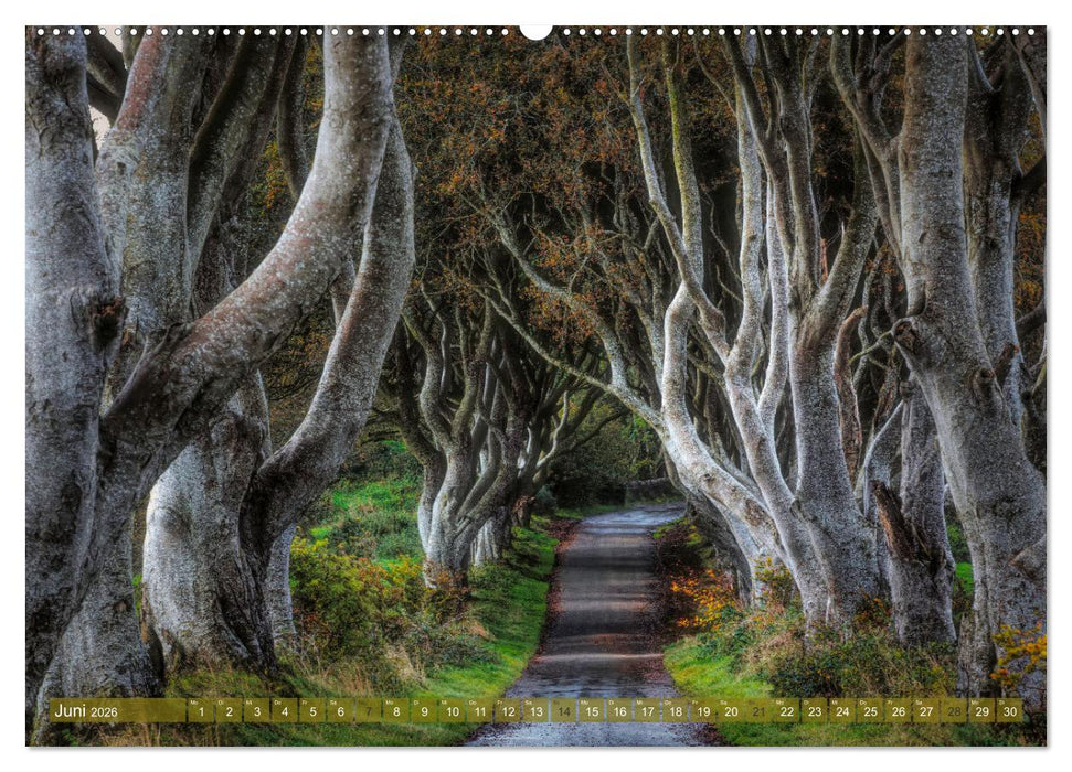Irland im Herbst (CALVENDO Premium Wandkalender 2026)