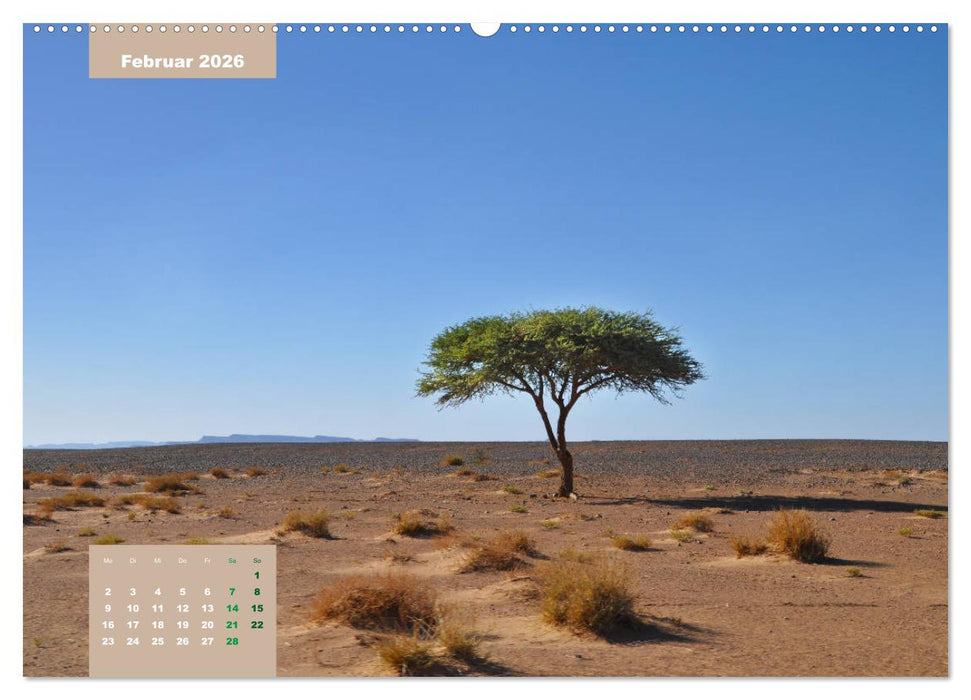 Erlebe mit mir das traumhafte Marokko (CALVENDO Wandkalender 2026)