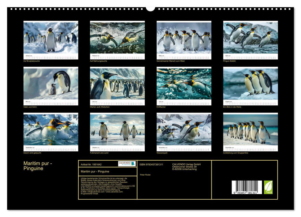 Maritim pur - Pinguine (CALVENDO Premium Wandkalender 2026)