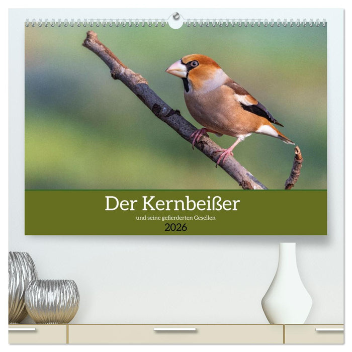 Der Kernbeißer und seine gefiederten Gesellen (CALVENDO Premium Wandkalender 2026)