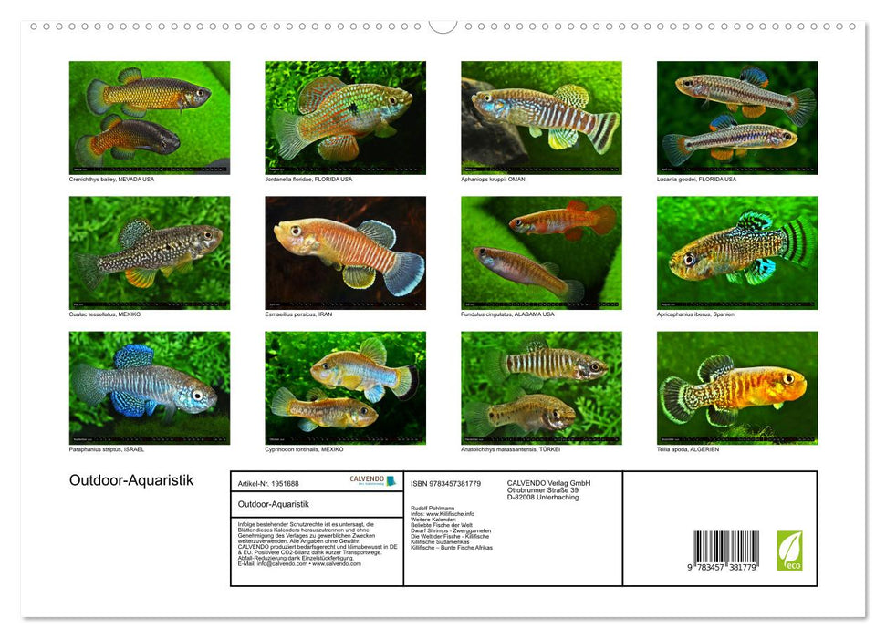 Outdoor-Aquaristik (CALVENDO Premium Wandkalender 2026)
