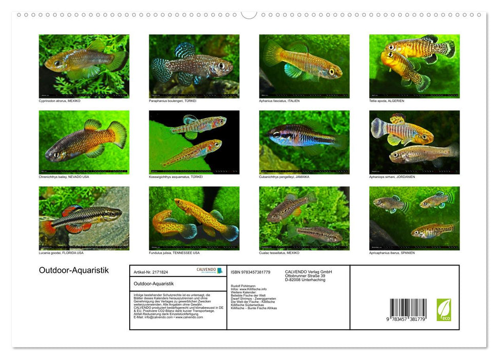 Outdoor-Aquaristik (CALVENDO Premium Wandkalender 2026)
