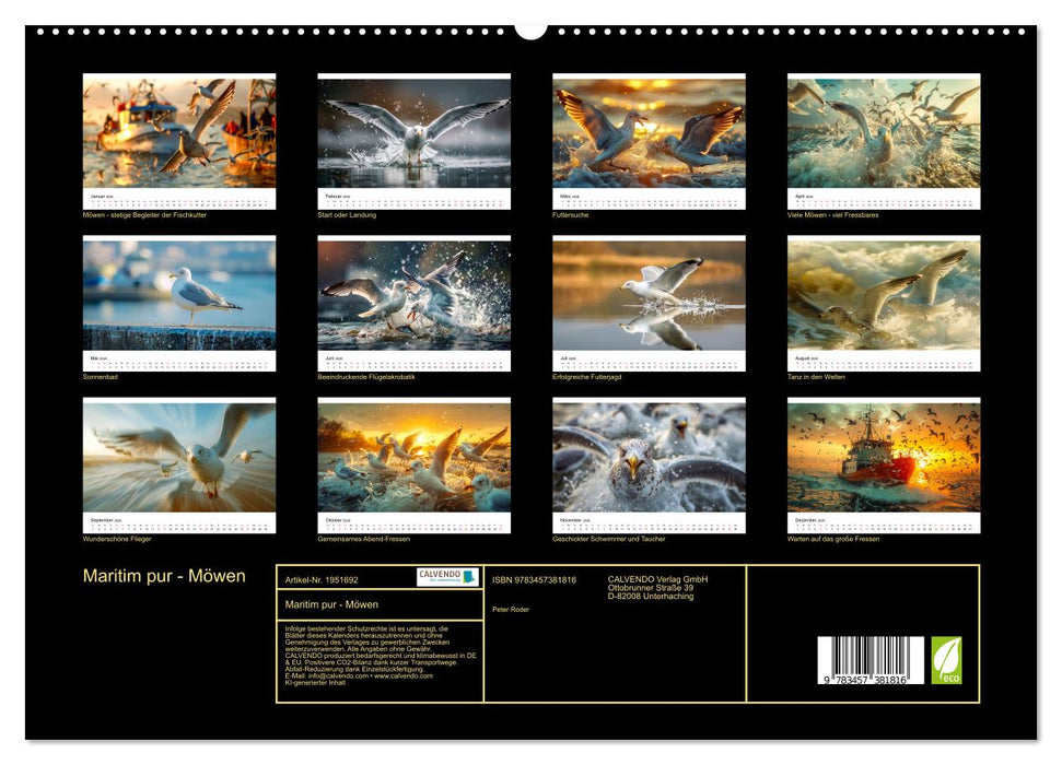 Maritim pur - Möwen (CALVENDO Premium Wandkalender 2026)