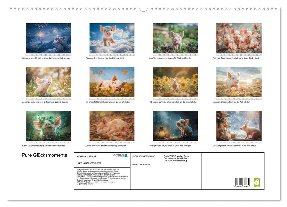 Pure Glücksmomente (CALVENDO Wandkalender 2026)