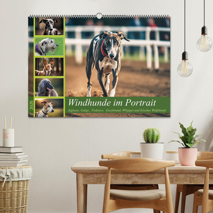 Windhunde im Portrait (CALVENDO Wandkalender 2026)