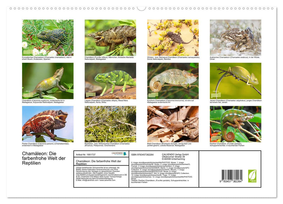 Chamäleon: Die farbenfrohe Welt der Reptilien (CALVENDO Premium Wandkalender 2026)