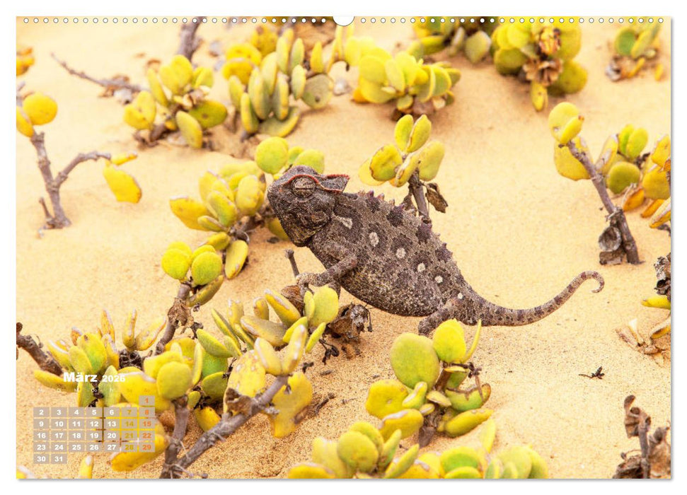 Chamäleon: Die farbenfrohe Welt der Reptilien (CALVENDO Premium Wandkalender 2026)
