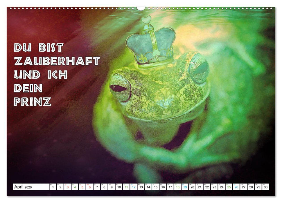Frosch quakt Sprüche (CALVENDO Premium Wandkalender 2026)