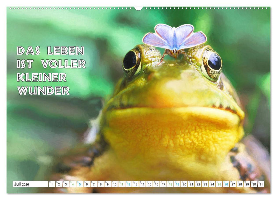 Frosch quakt Sprüche (CALVENDO Premium Wandkalender 2026)