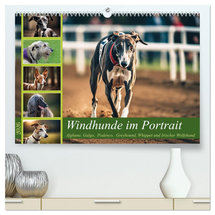 Windhunde im Portrait (CALVENDO Premium Wandkalender 2026)