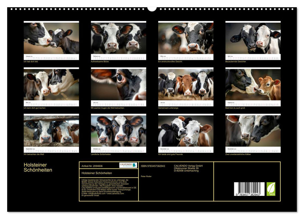 Holsteiner Schönheiten (CALVENDO Premium Wandkalender 2026)
