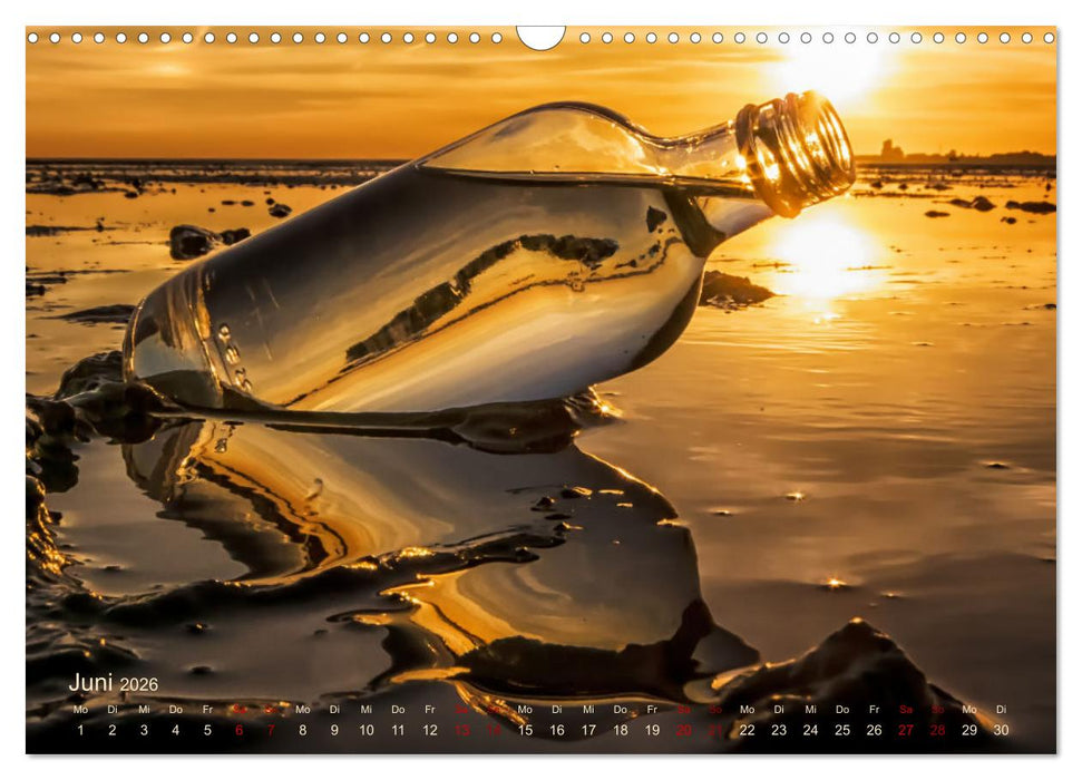 Westküste zwischen Westerhever und Speicherkoog (CALVENDO Wandkalender 2026)