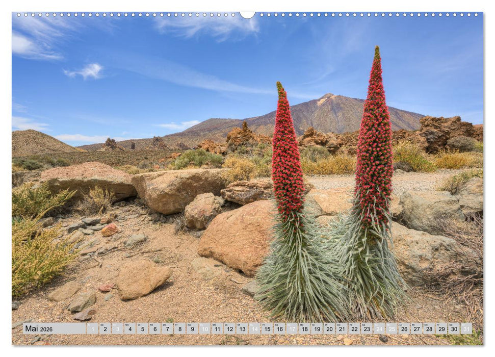 Faszination Teneriffa (CALVENDO Wandkalender 2026)